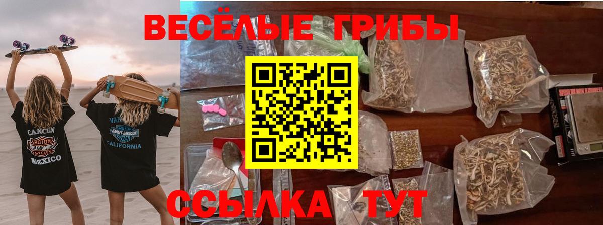 Галлюциногенные грибы Cubensis  закладка  Нижний Тагил  Вход с VPN 