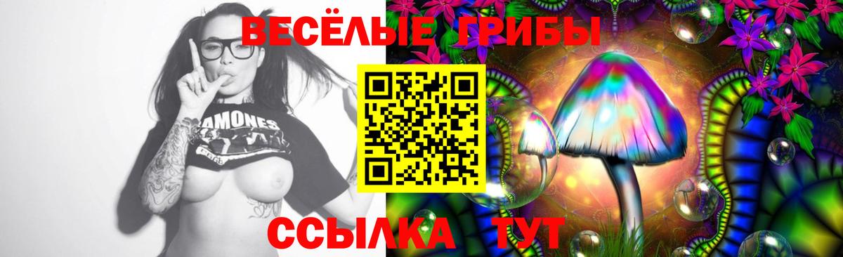 Псилоцибиновые грибы мицелий Нижний Тагил